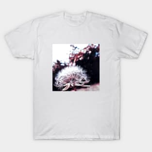 Dandelion flower photos T-Shirt